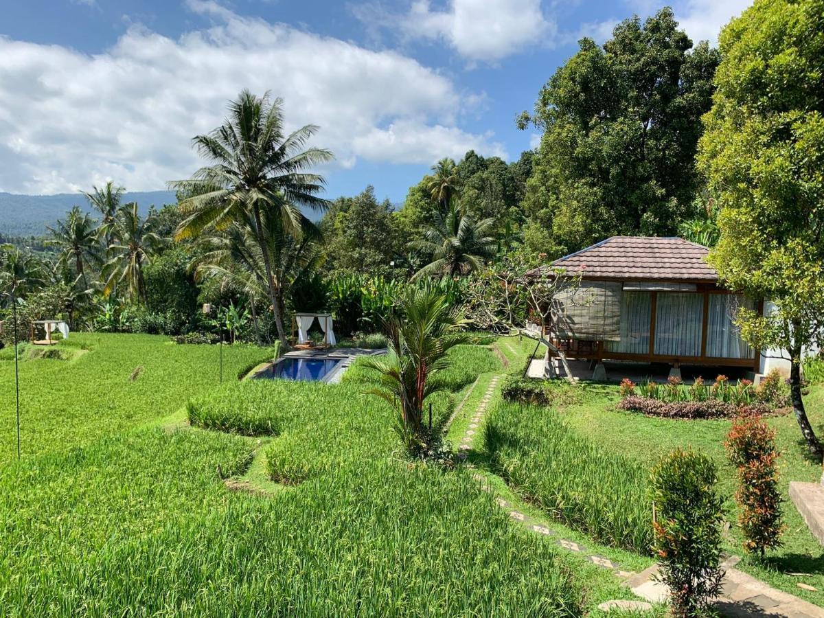 Bali De Pardis Cottage Munduk Exterior foto
